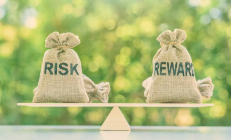 Building a Resilient Portfolio: Balancing Risk and Reward in Singapore’s Financial Landscape